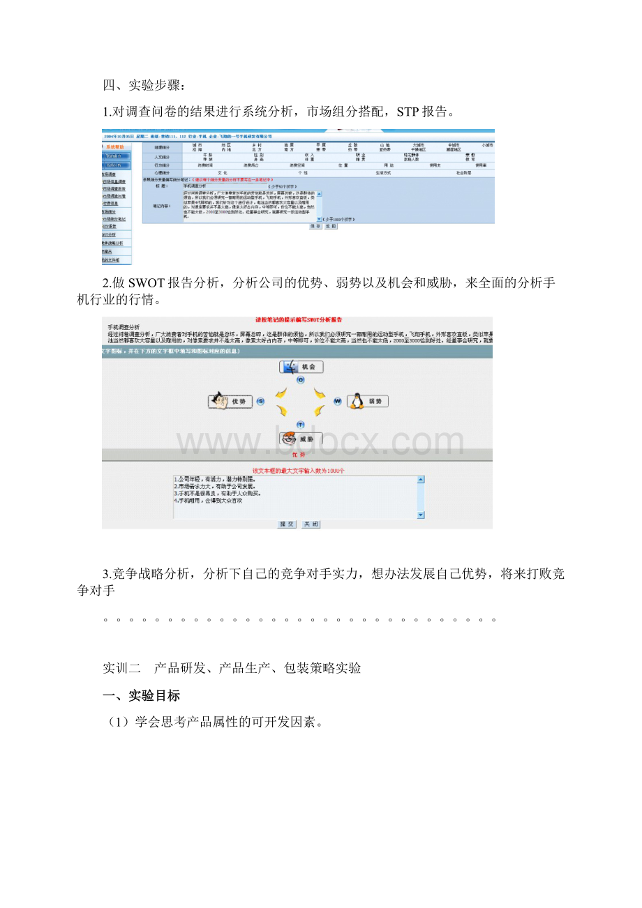 营销10级营销软件实训报告模板1Word文档下载推荐.docx_第3页