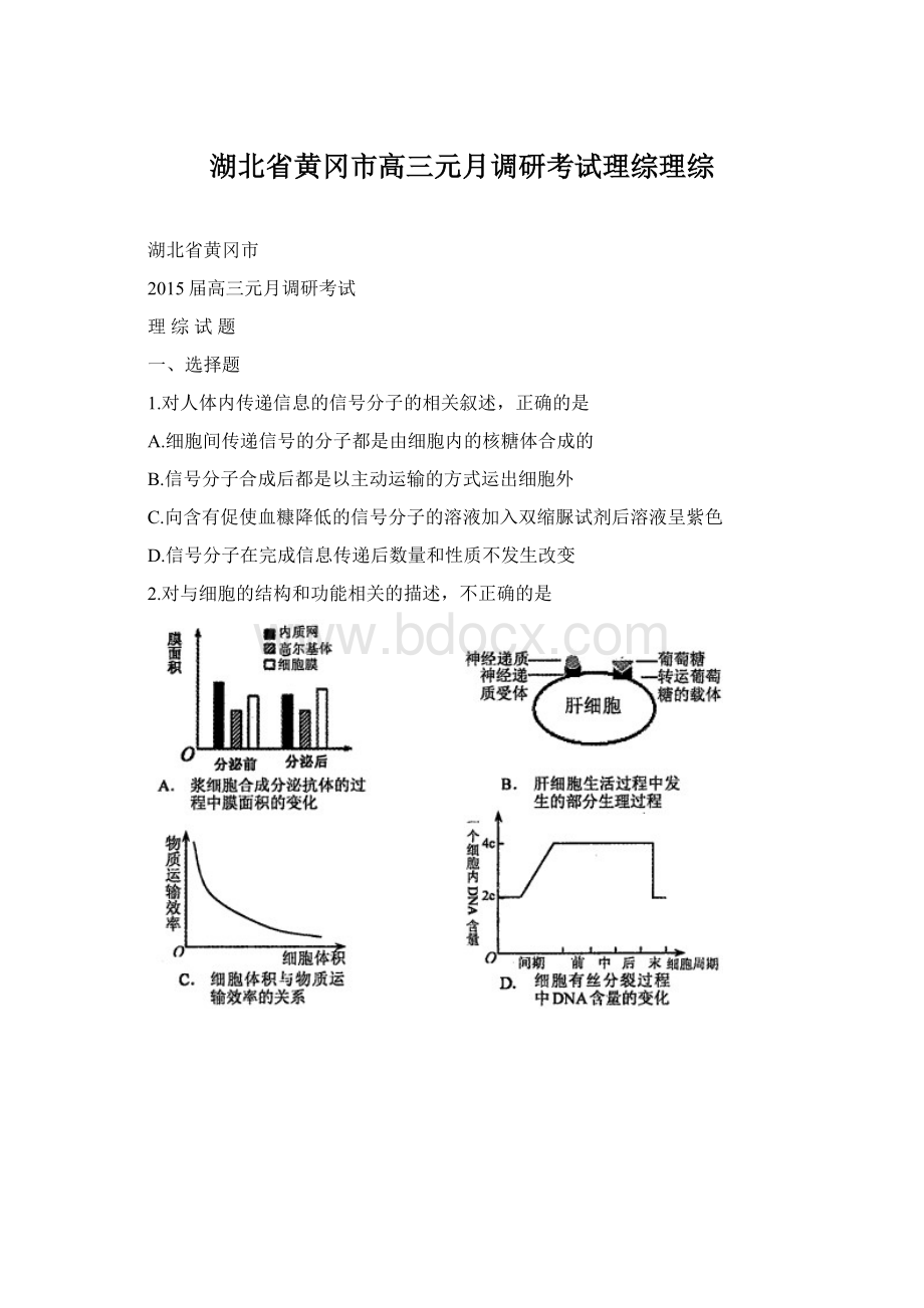 湖北省黄冈市高三元月调研考试理综理综Word下载.docx