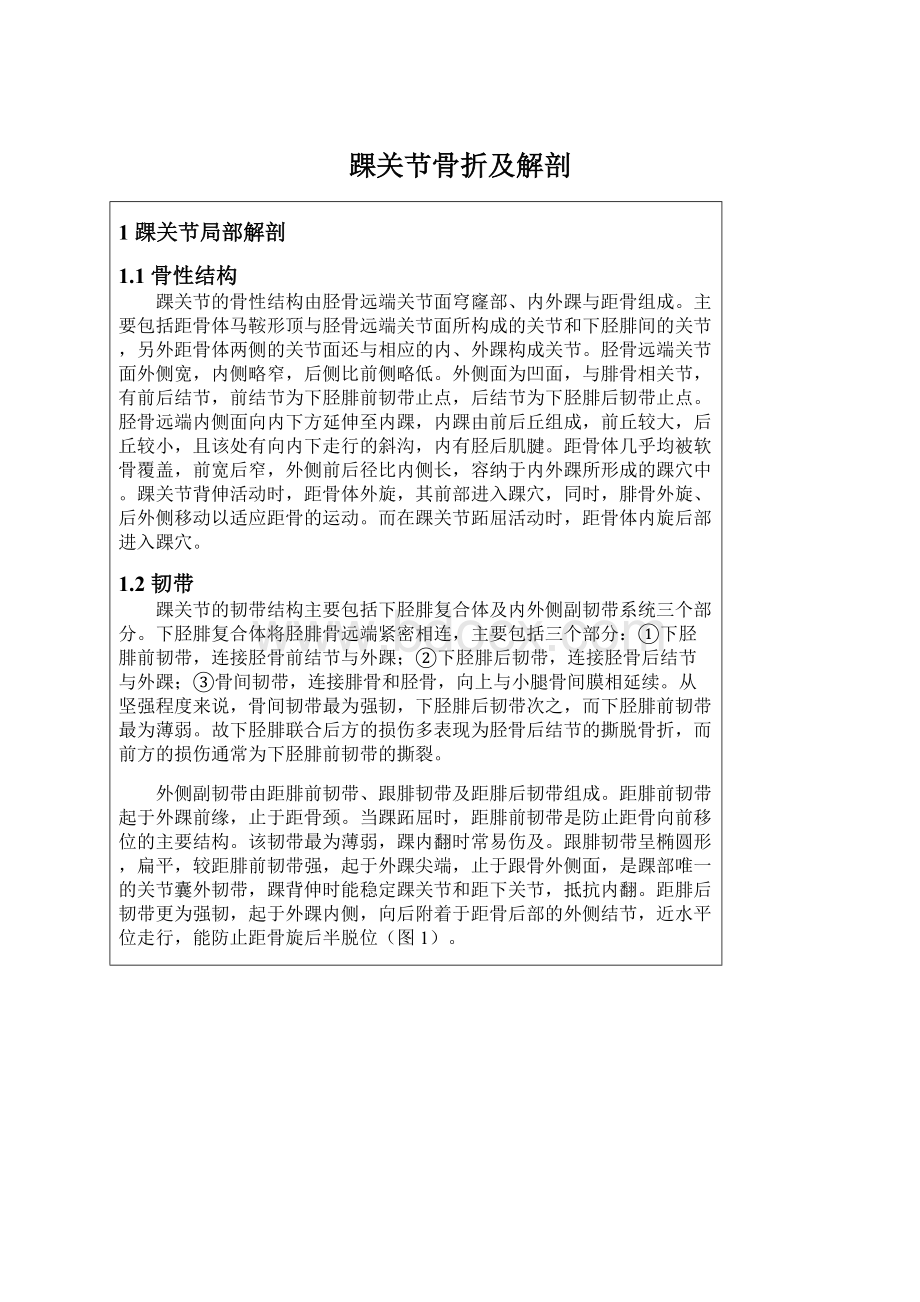 踝关节骨折及解剖Word格式文档下载.docx_第1页