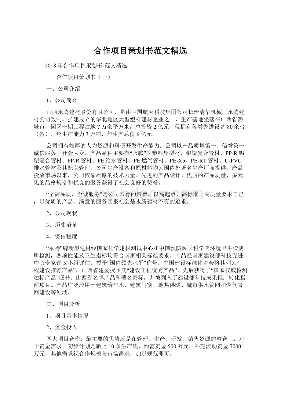 合作项目策划书范文精选.docx