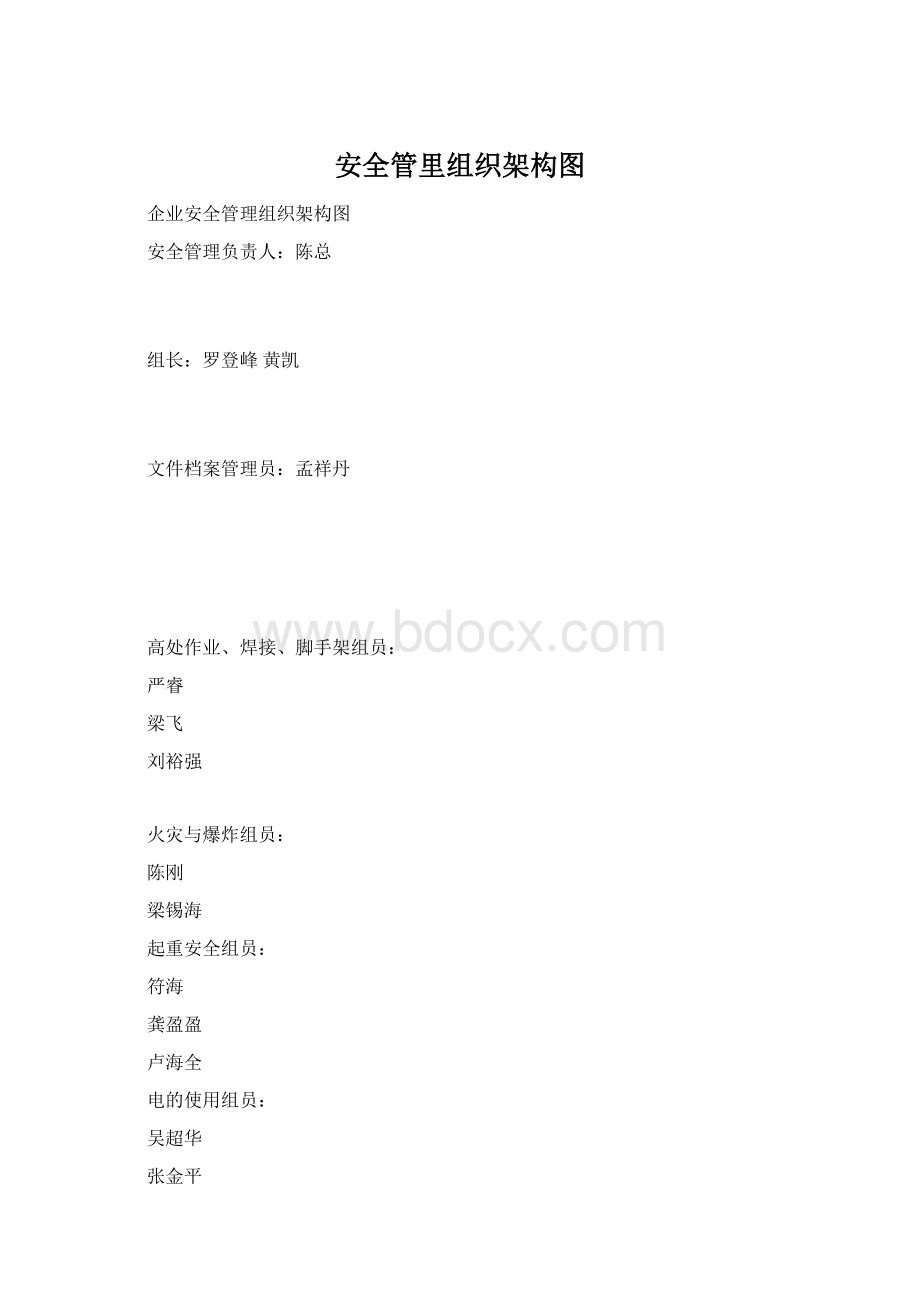 安全管里组织架构图.docx