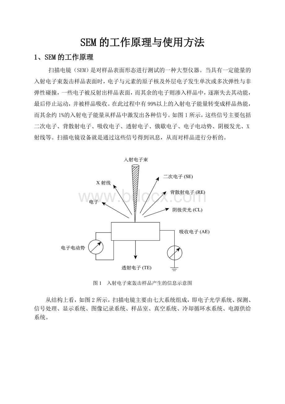 SEM工作原理与使用方法.doc