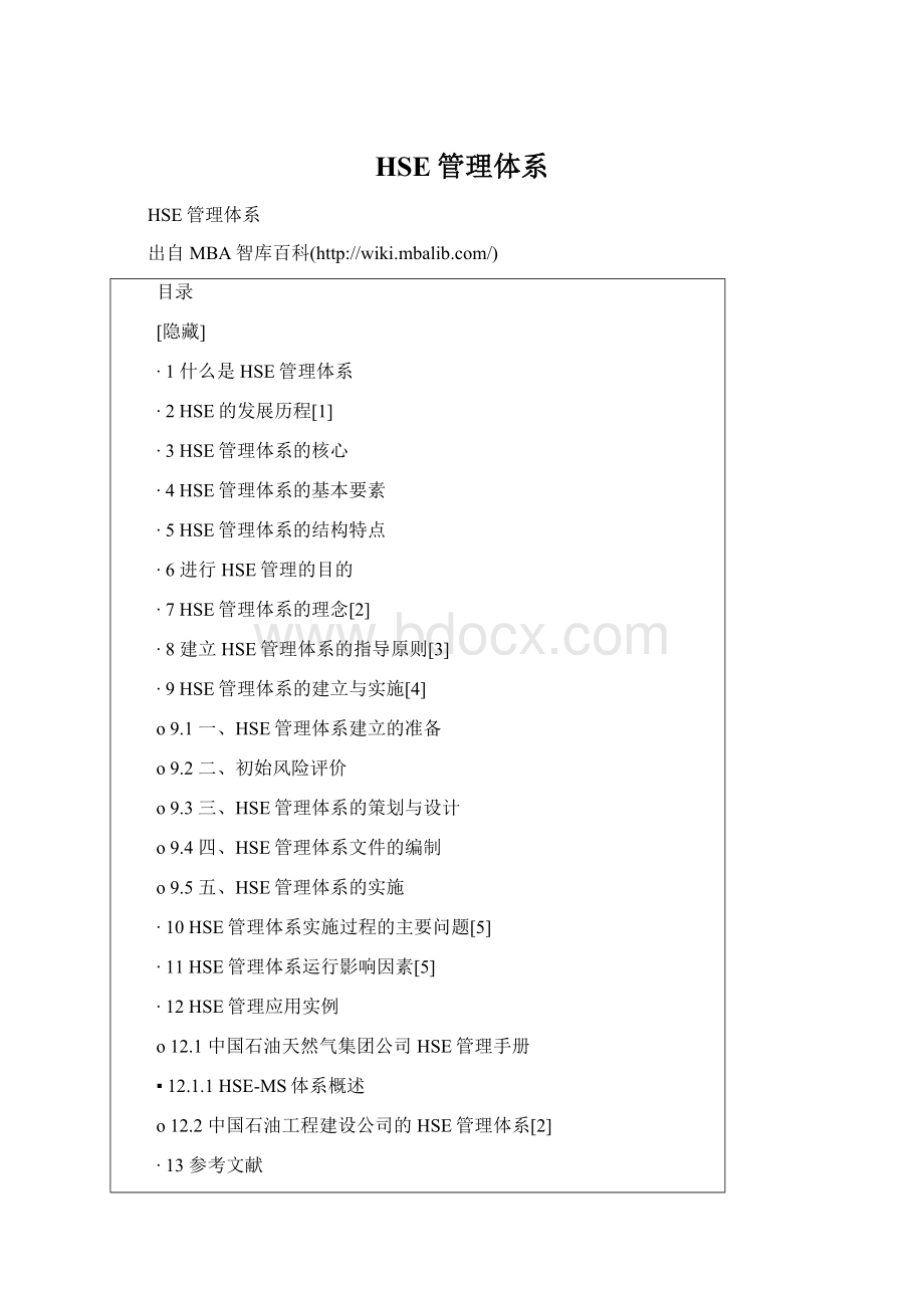 HSE管理体系.docx_第1页