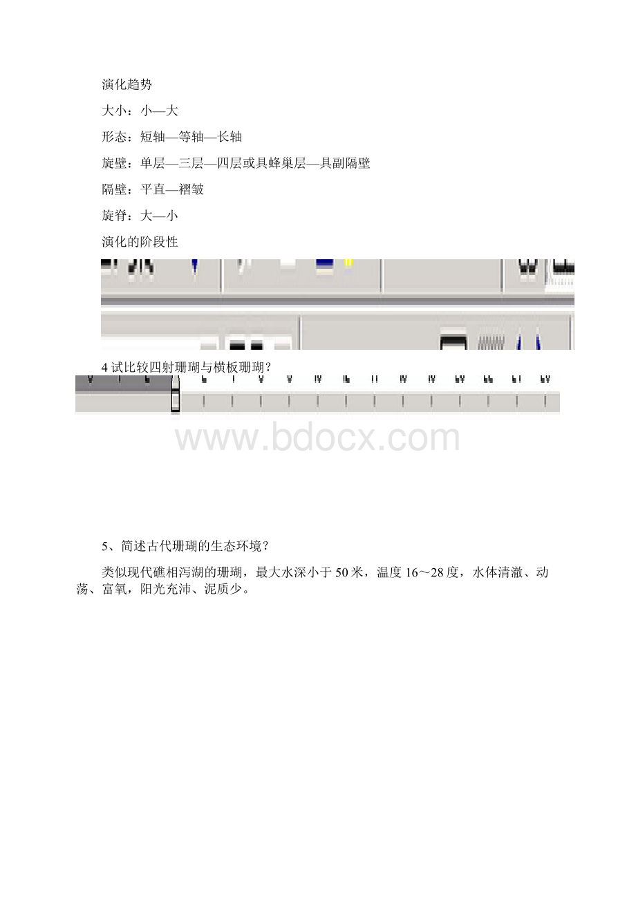 中国地质大学北京古生物与地史学简答题复习剖析Word文件下载.docx_第3页