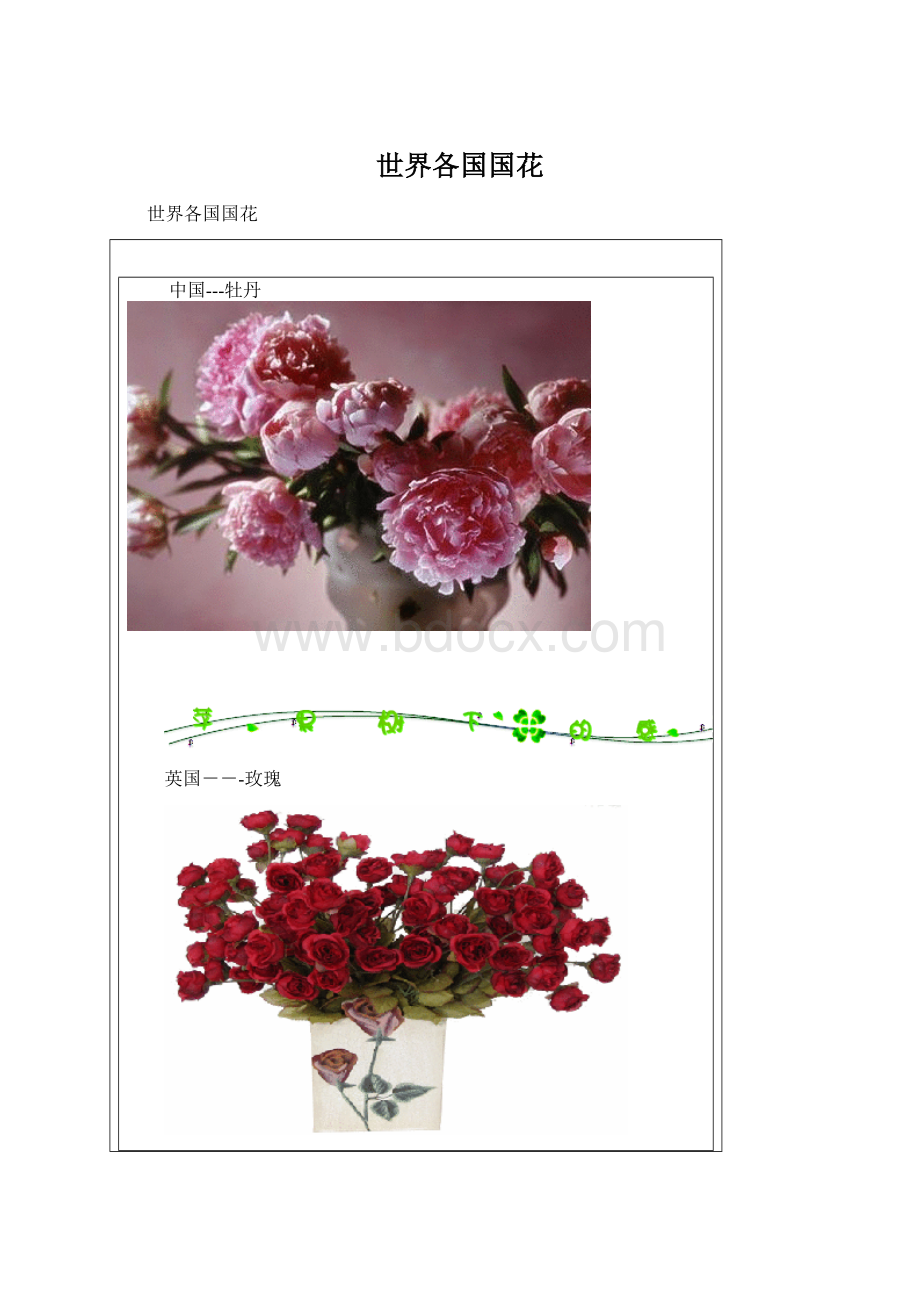 世界各国国花Word格式.docx