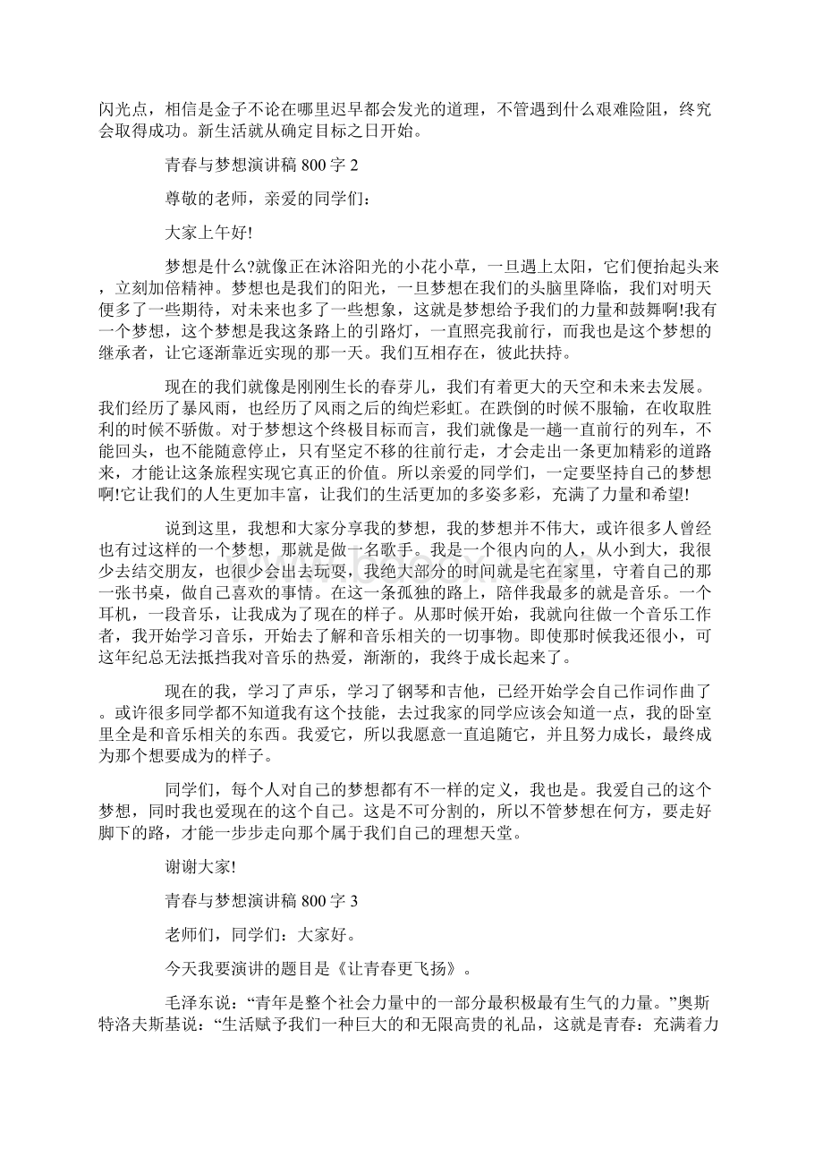 青春与梦想演讲稿800字.docx_第2页