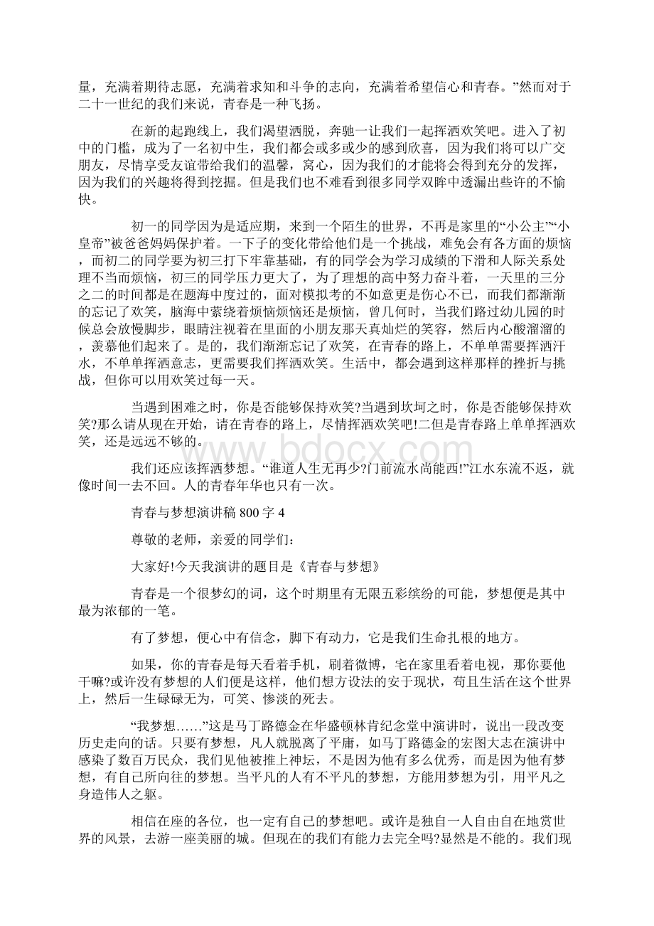 青春与梦想演讲稿800字.docx_第3页