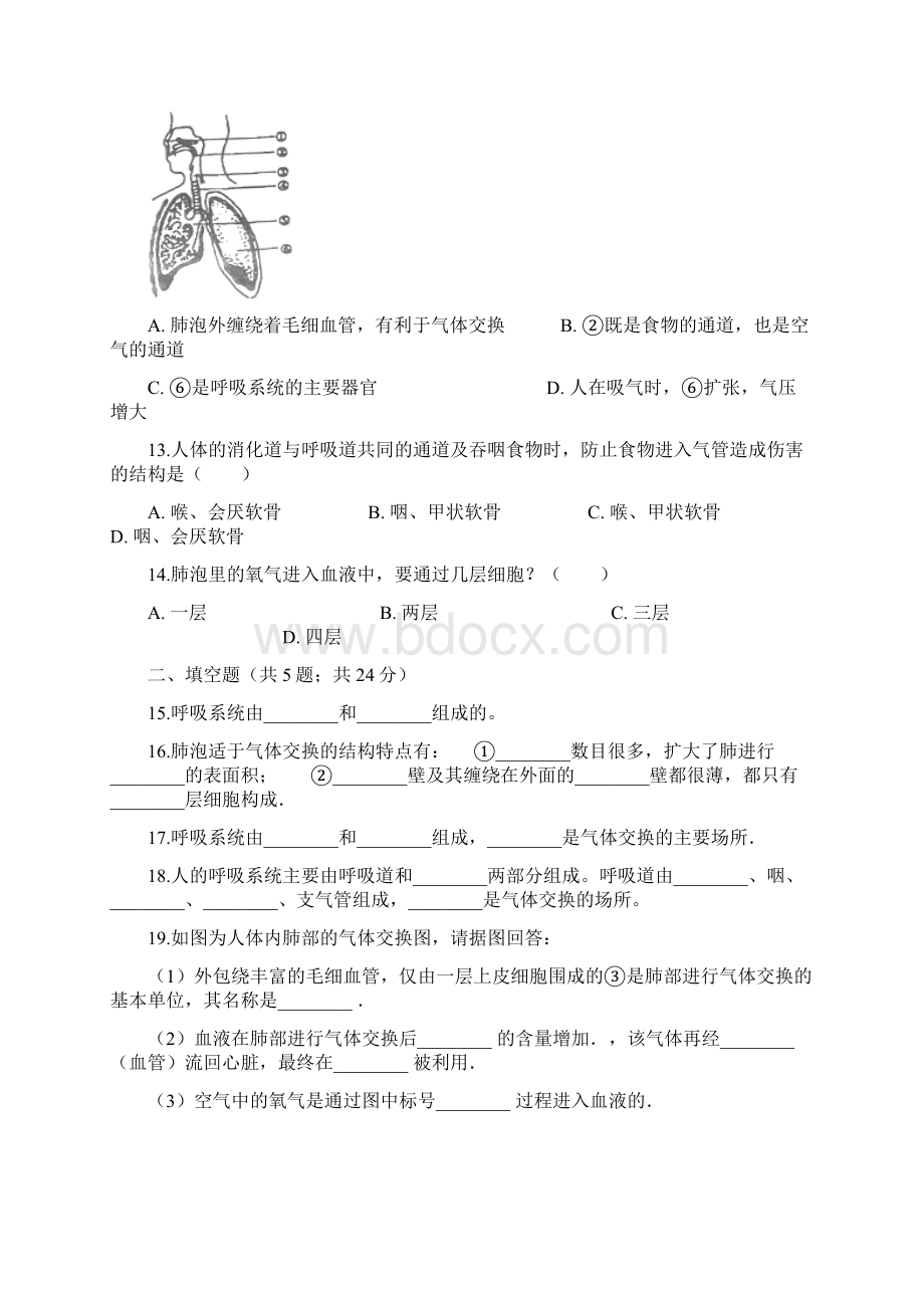 学年人教新版七年级下册生物 第四单元 第三章第一节 呼吸道对空气的处理 同步测试.docx_第3页