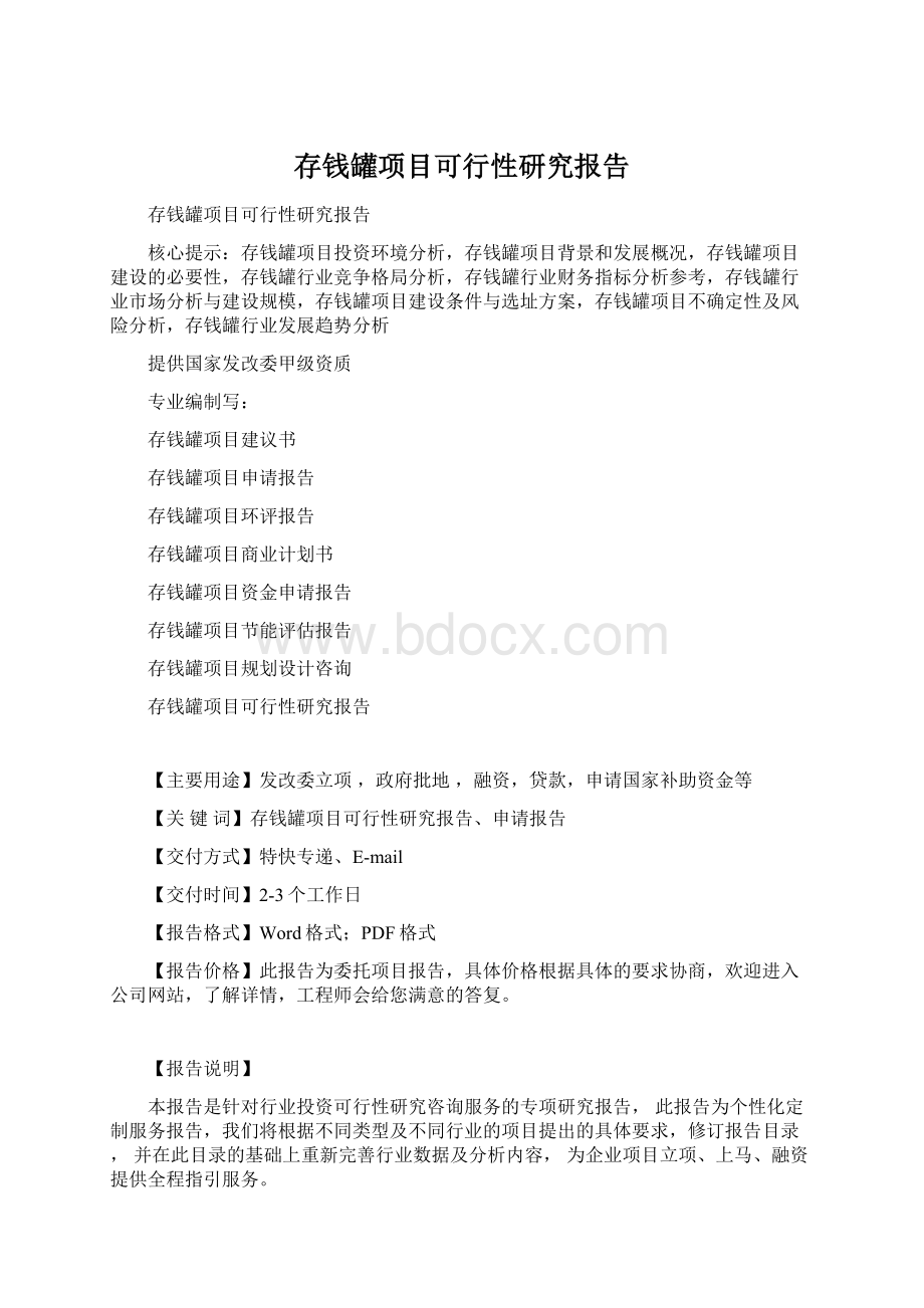 存钱罐项目可行性研究报告.docx_第1页