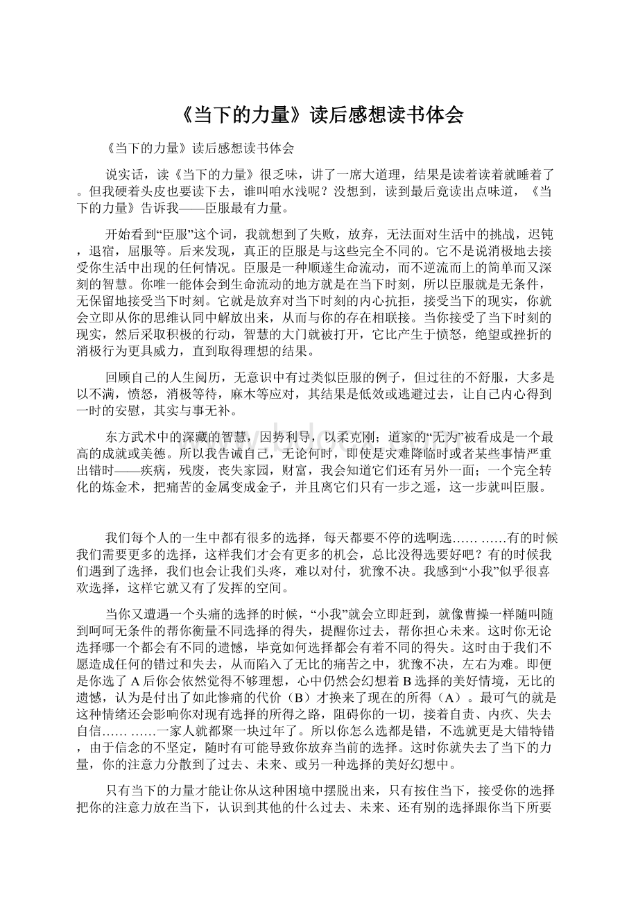 《当下的力量》读后感想读书体会文档格式.docx_第1页