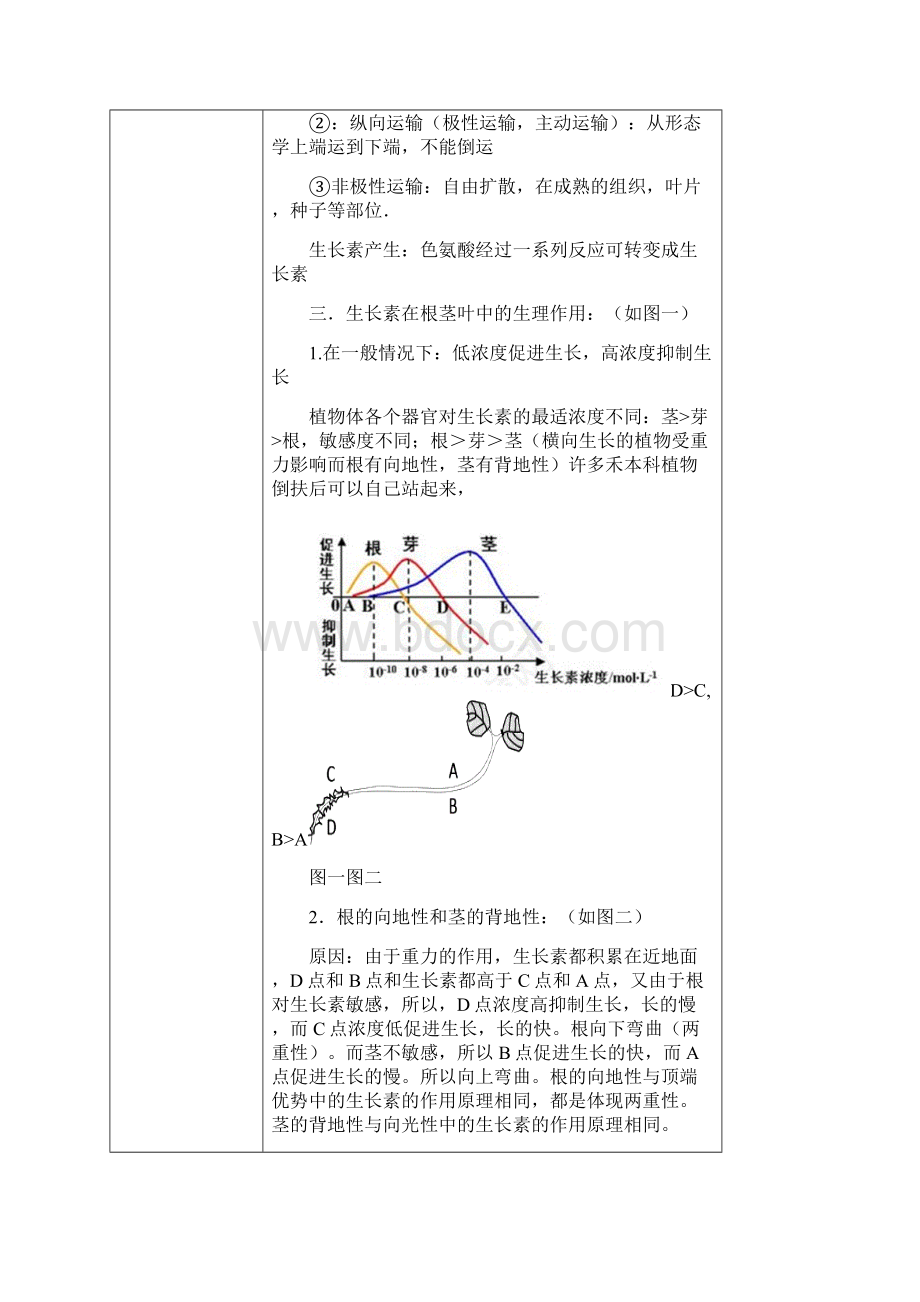 高中生物一对一辅导学案Word下载.docx_第2页