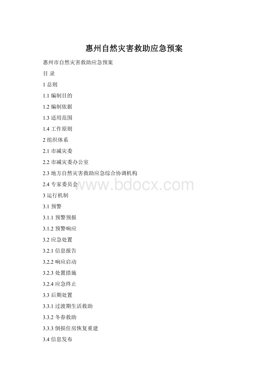 惠州自然灾害救助应急预案文档格式.docx