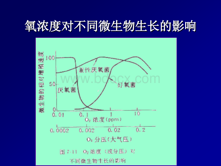 发酵氧的供需及对发酵的影响.ppt_第2页