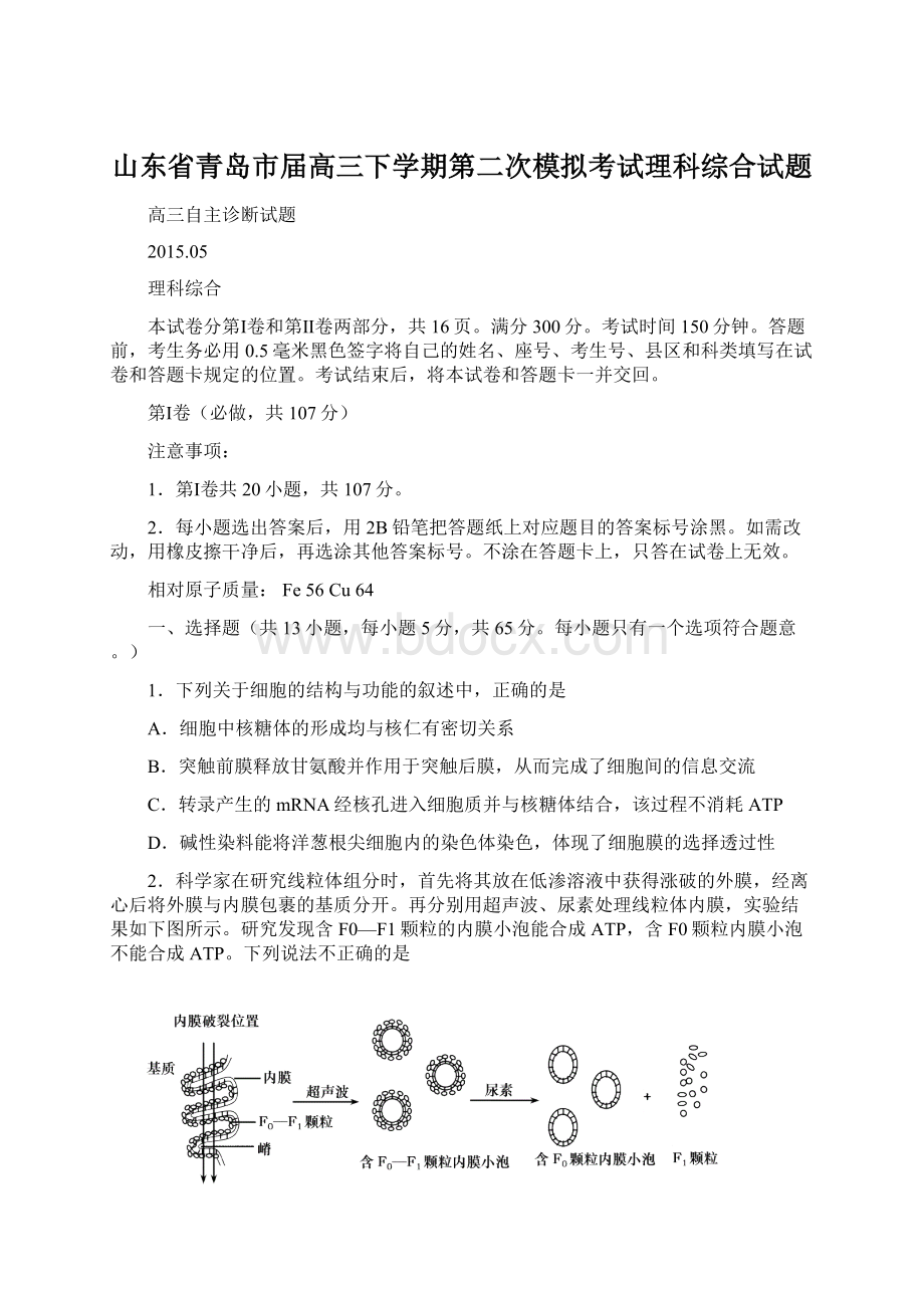 山东省青岛市届高三下学期第二次模拟考试理科综合试题.docx_第1页