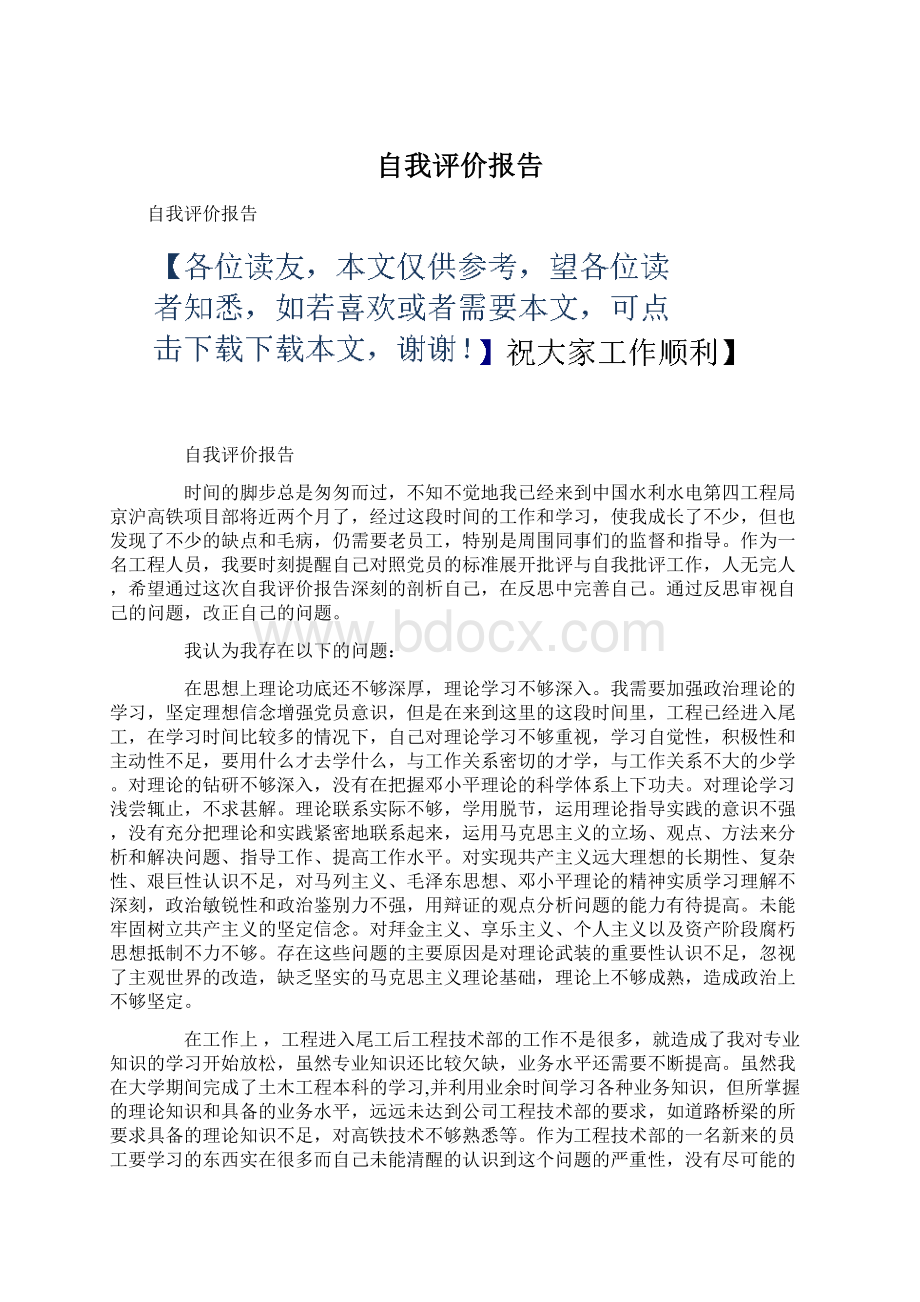 自我评价报告.docx