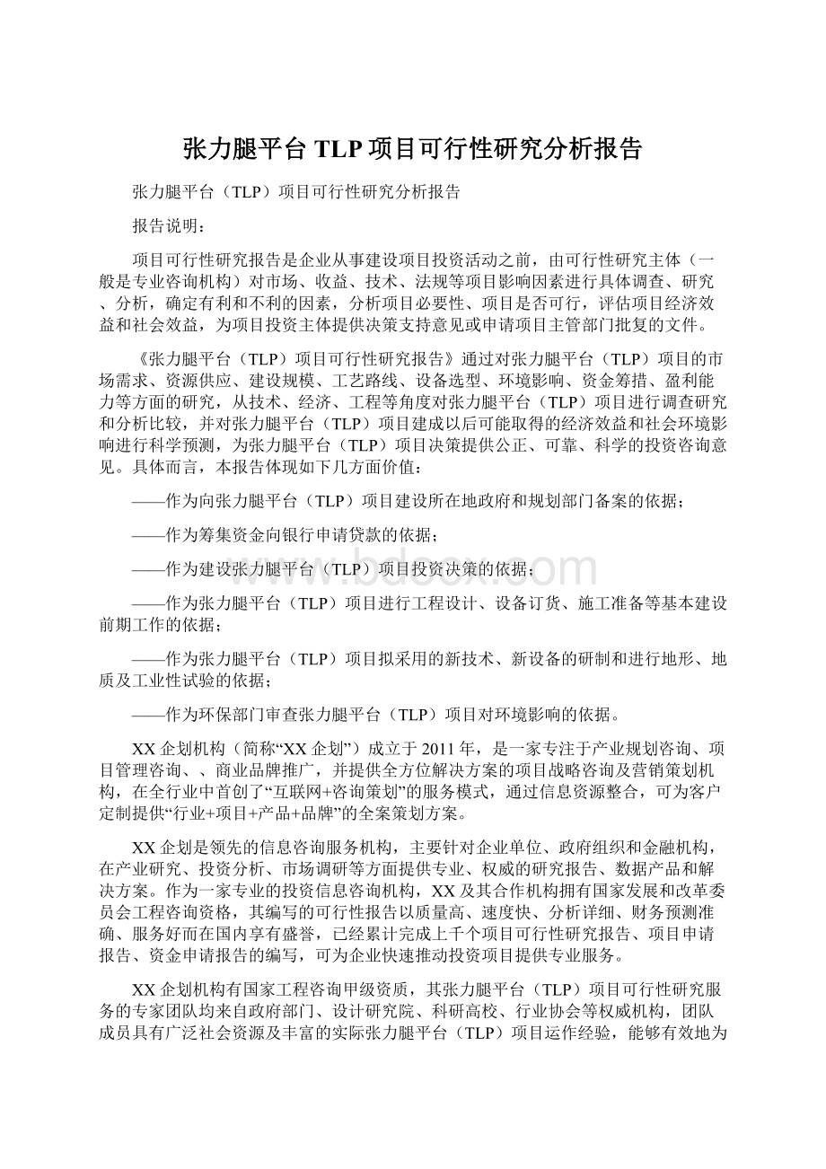 张力腿平台TLP项目可行性研究分析报告Word文档格式.docx_第1页