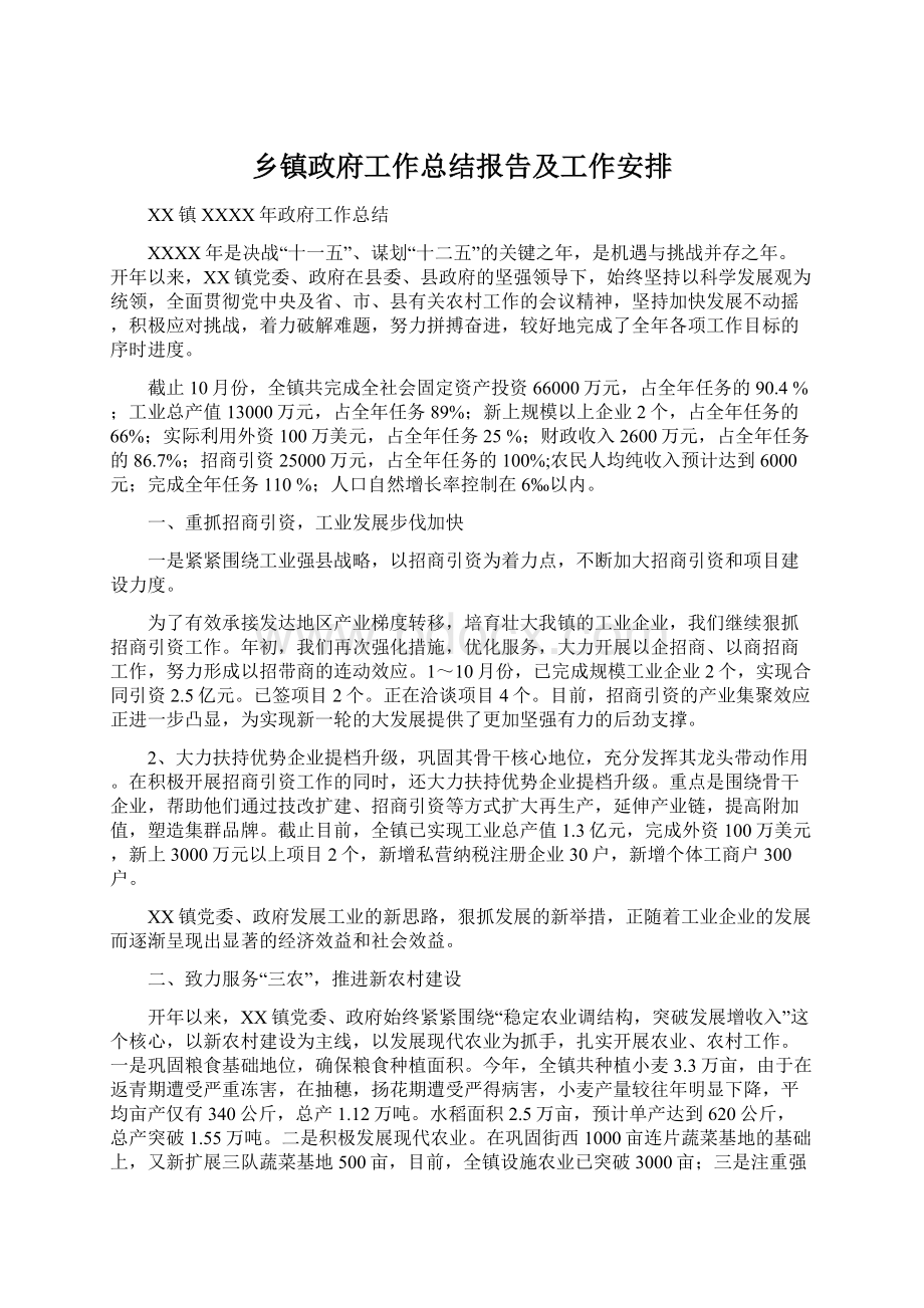 乡镇政府工作总结报告及工作安排.docx