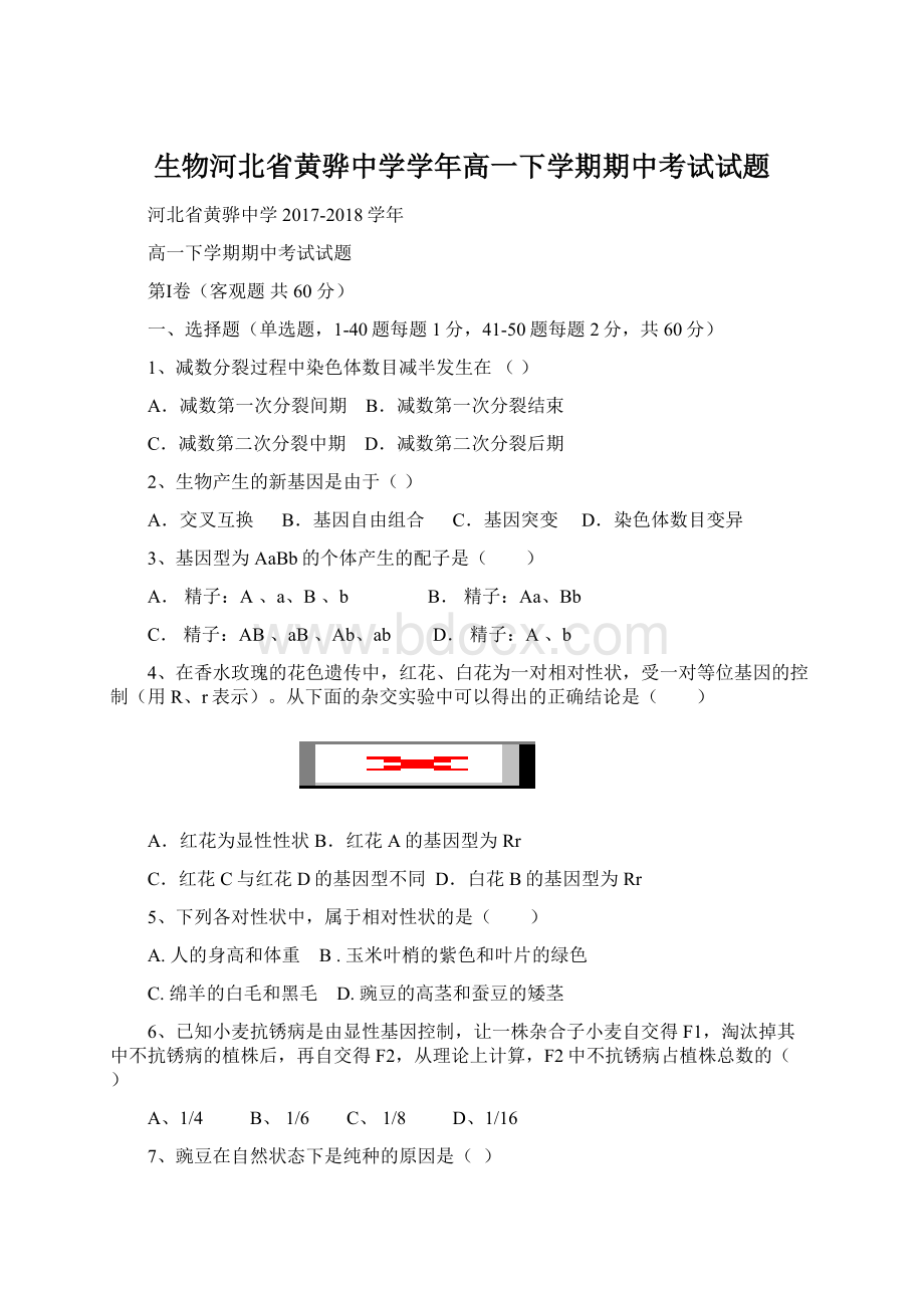 生物河北省黄骅中学学年高一下学期期中考试试题Word下载.docx