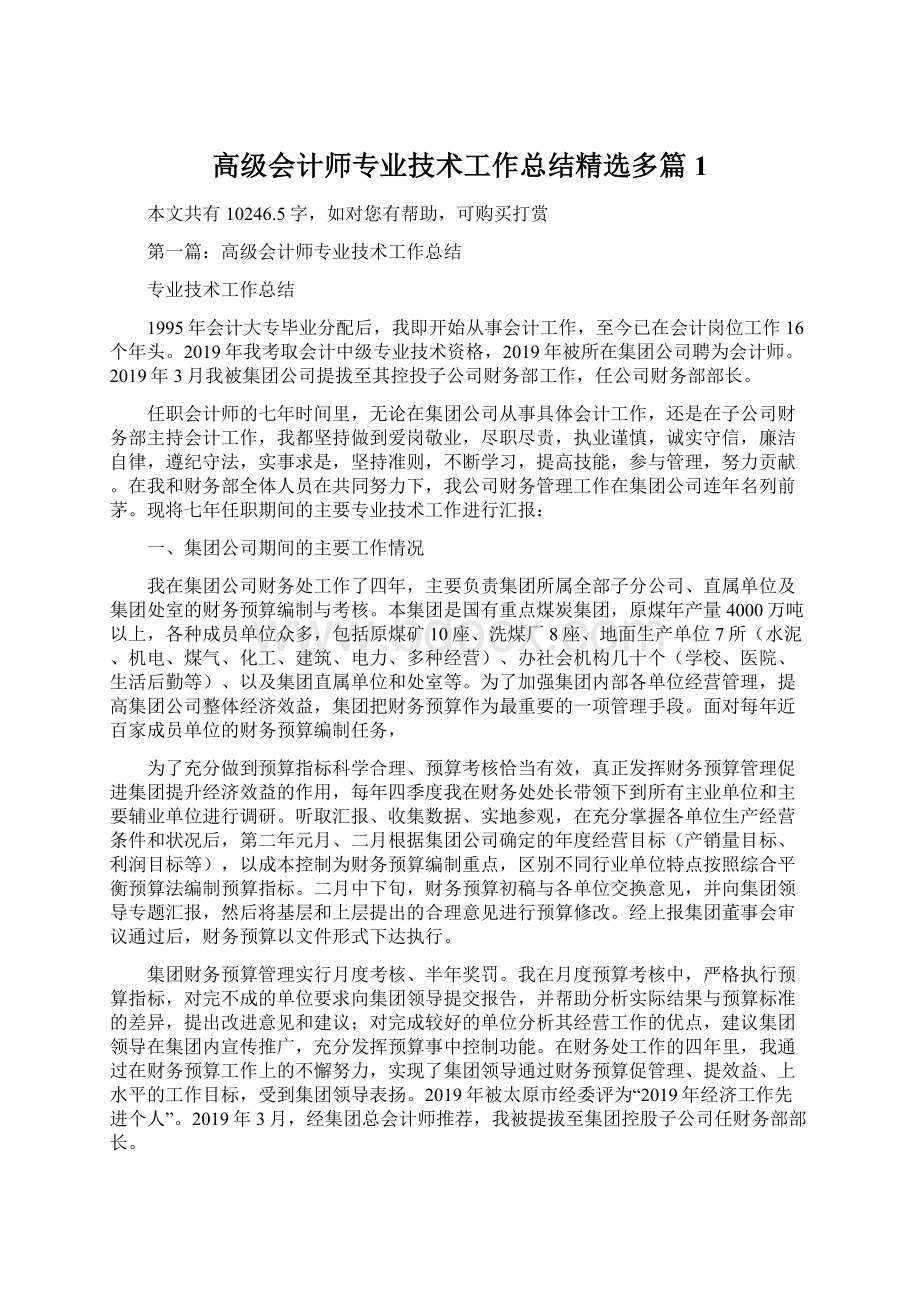 高级会计师专业技术工作总结精选多篇1Word格式.docx_第1页