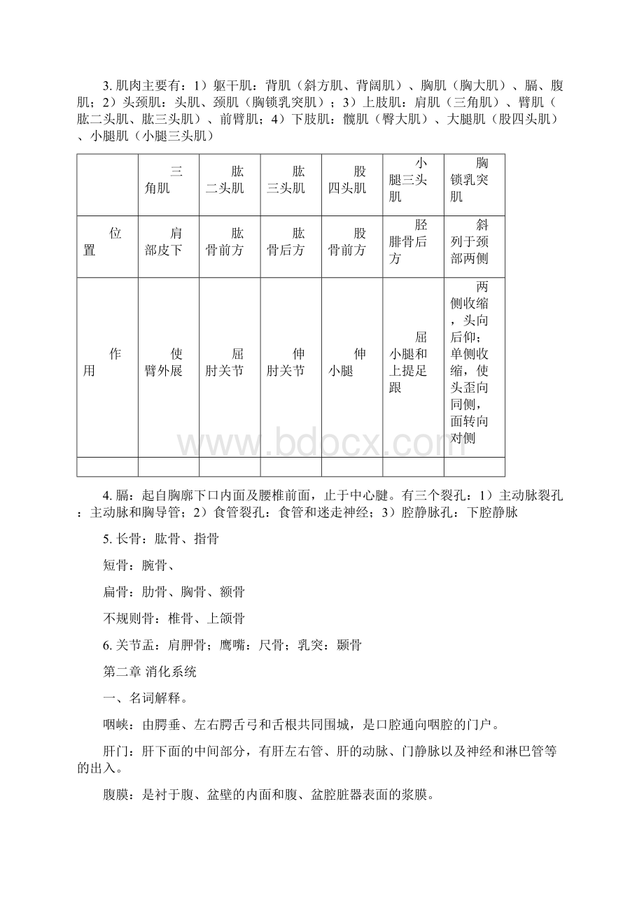 广中医解剖答案中药经管类学生适用Word文件下载.docx_第3页