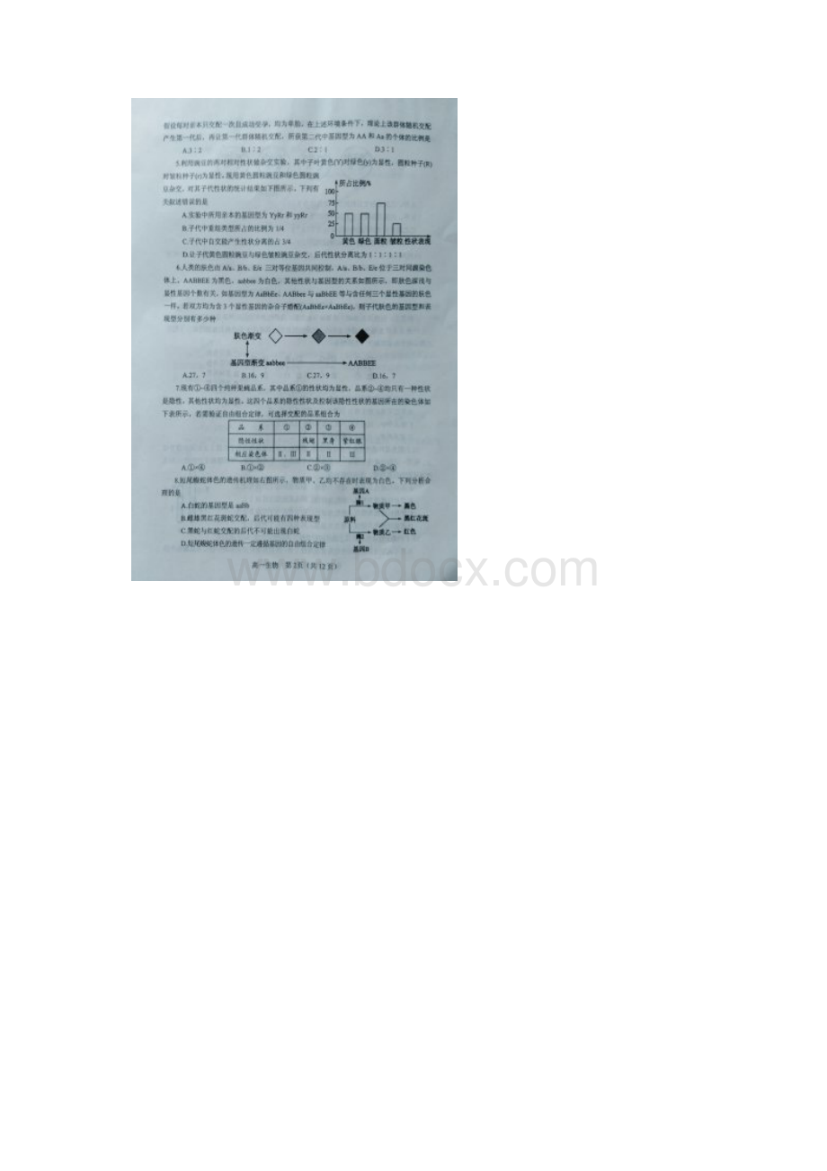 学年河南省南阳市高一下学期期末考试生物试题 扫描版Word文档下载推荐.docx_第2页