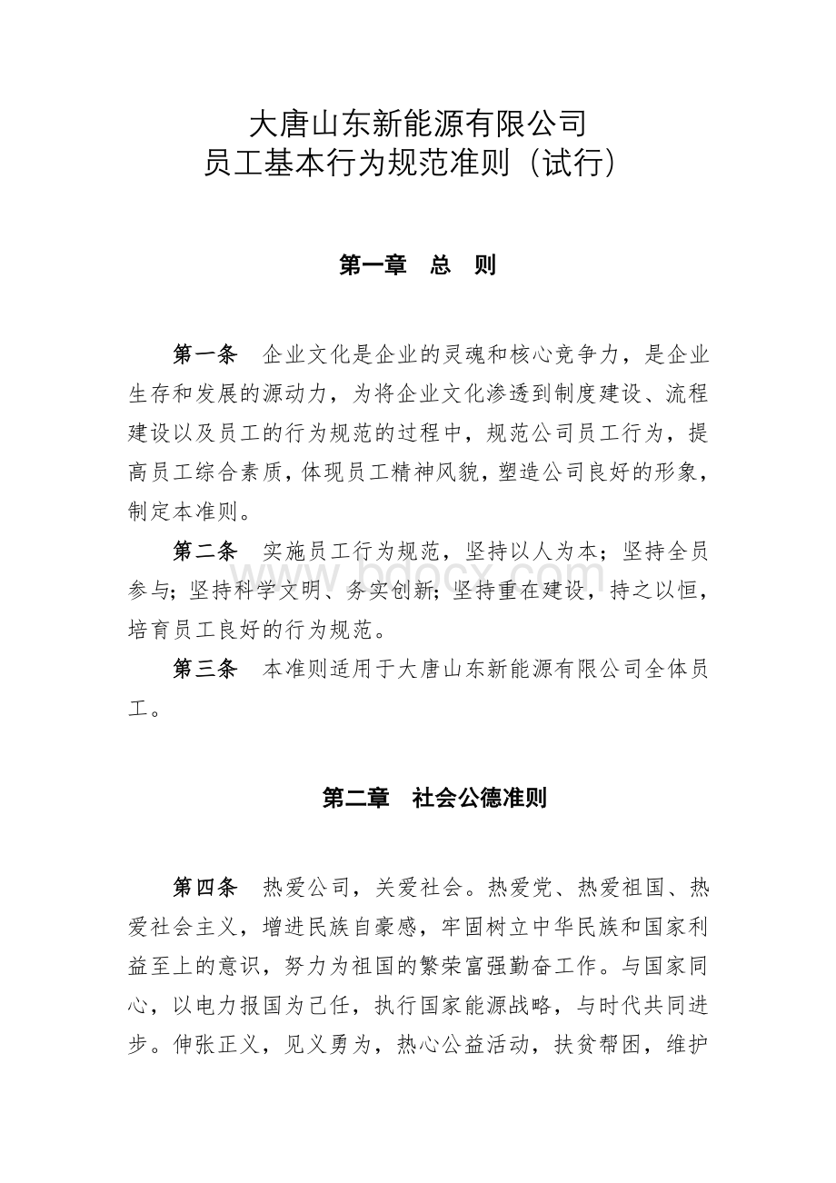 高效大唐山东新能源有限公司.doc_第1页