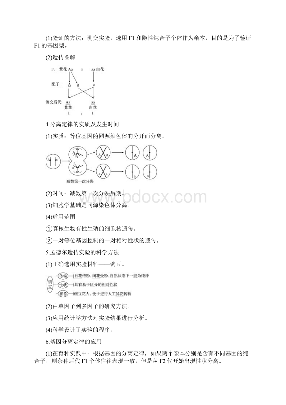 届 一轮复习苏教版 基因的分离定律 教案docWord格式文档下载.docx_第2页