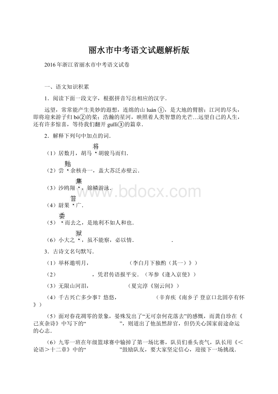 丽水市中考语文试题解析版.docx