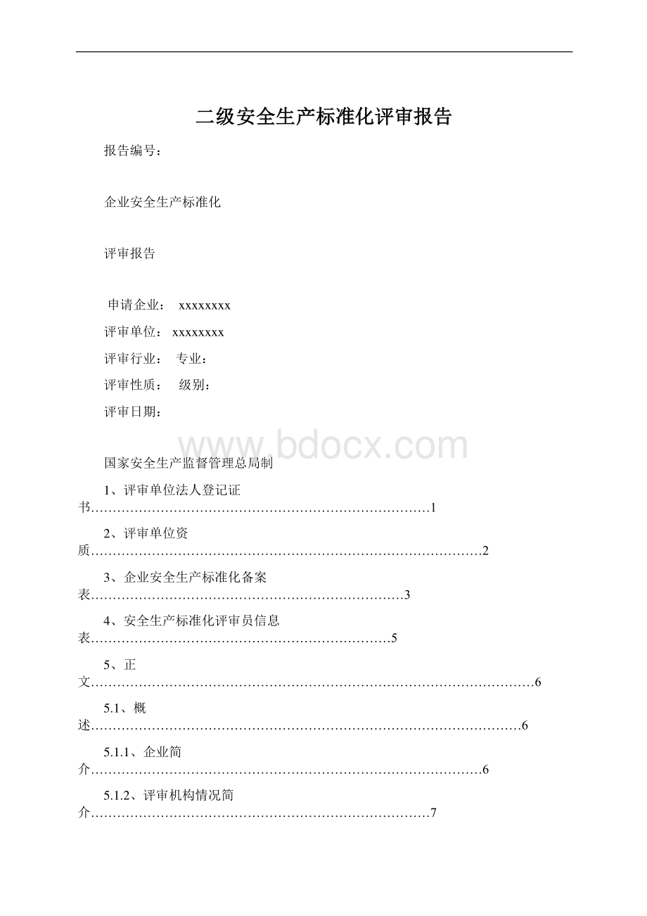 二级安全生产标准化评审报告.docx_第1页