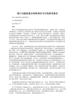 周口功能性复合材料项目可行性研究报告.docx