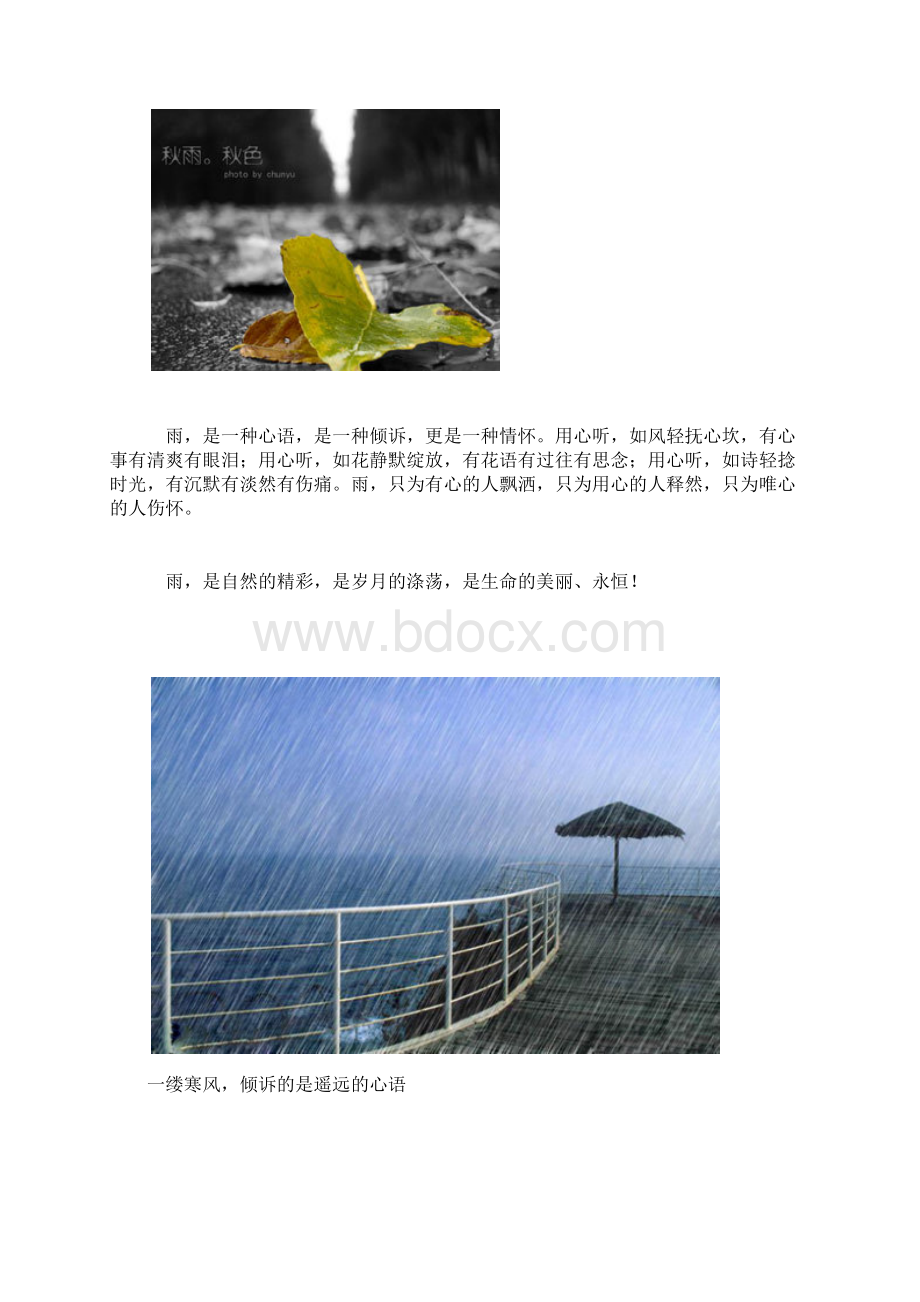 秋雨.docx_第3页