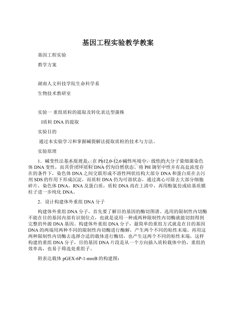 基因工程实验教学教案Word文件下载.docx_第1页