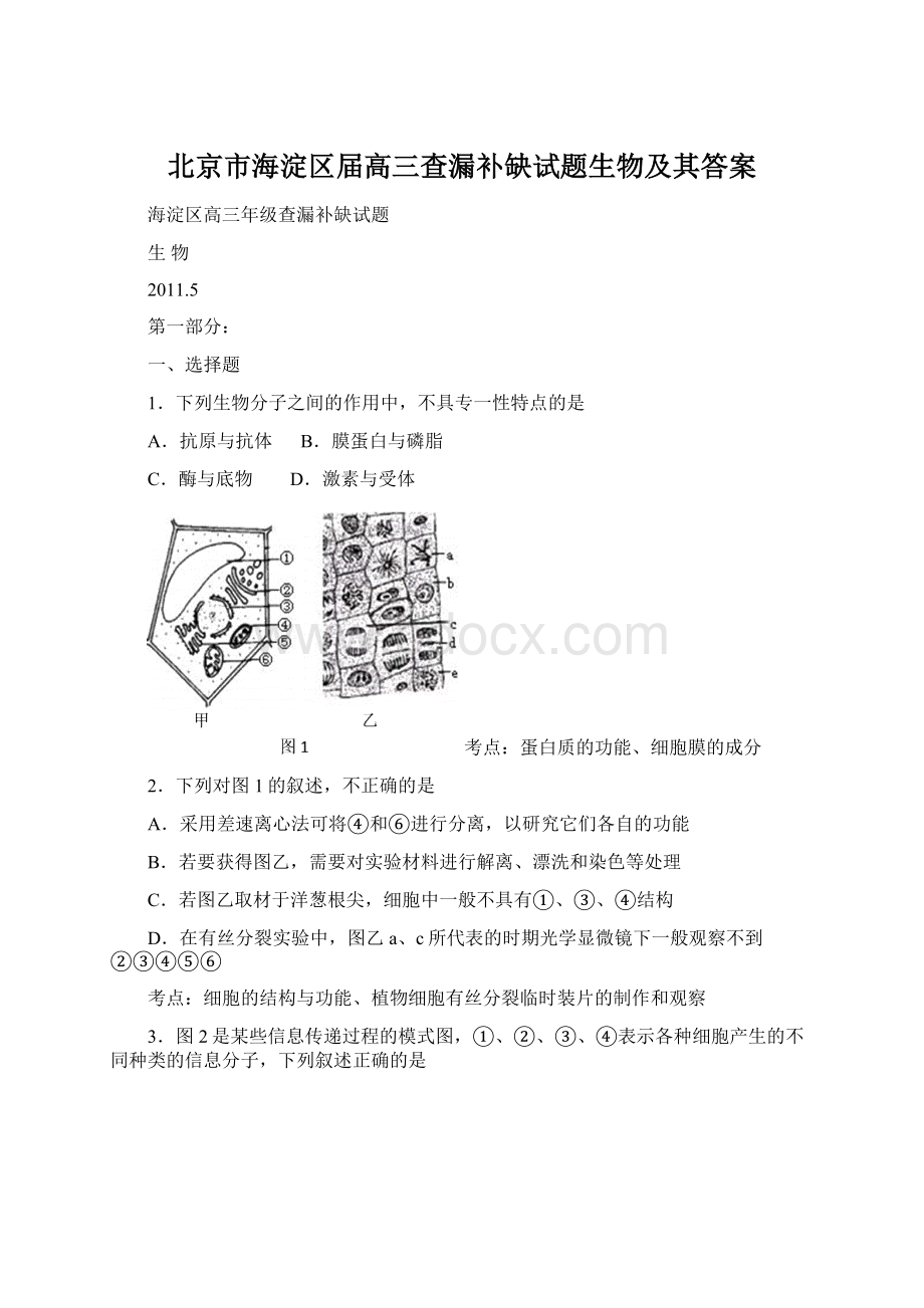 北京市海淀区届高三查漏补缺试题生物及其答案.docx