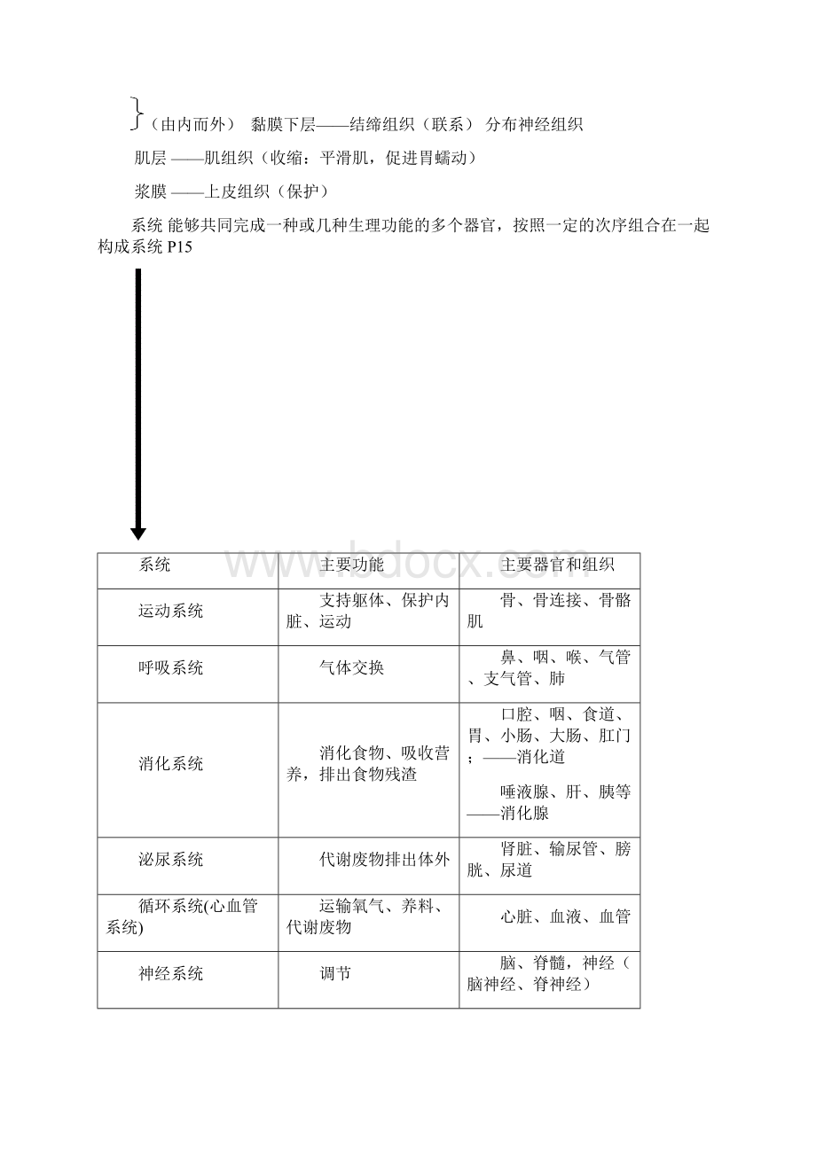 上海市初中生命科学复习讲义.docx_第3页