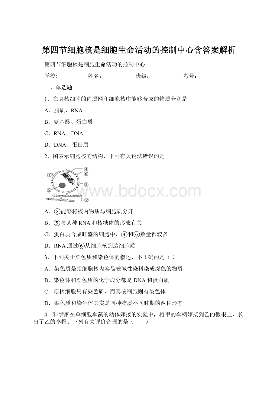 第四节细胞核是细胞生命活动的控制中心含答案解析.docx