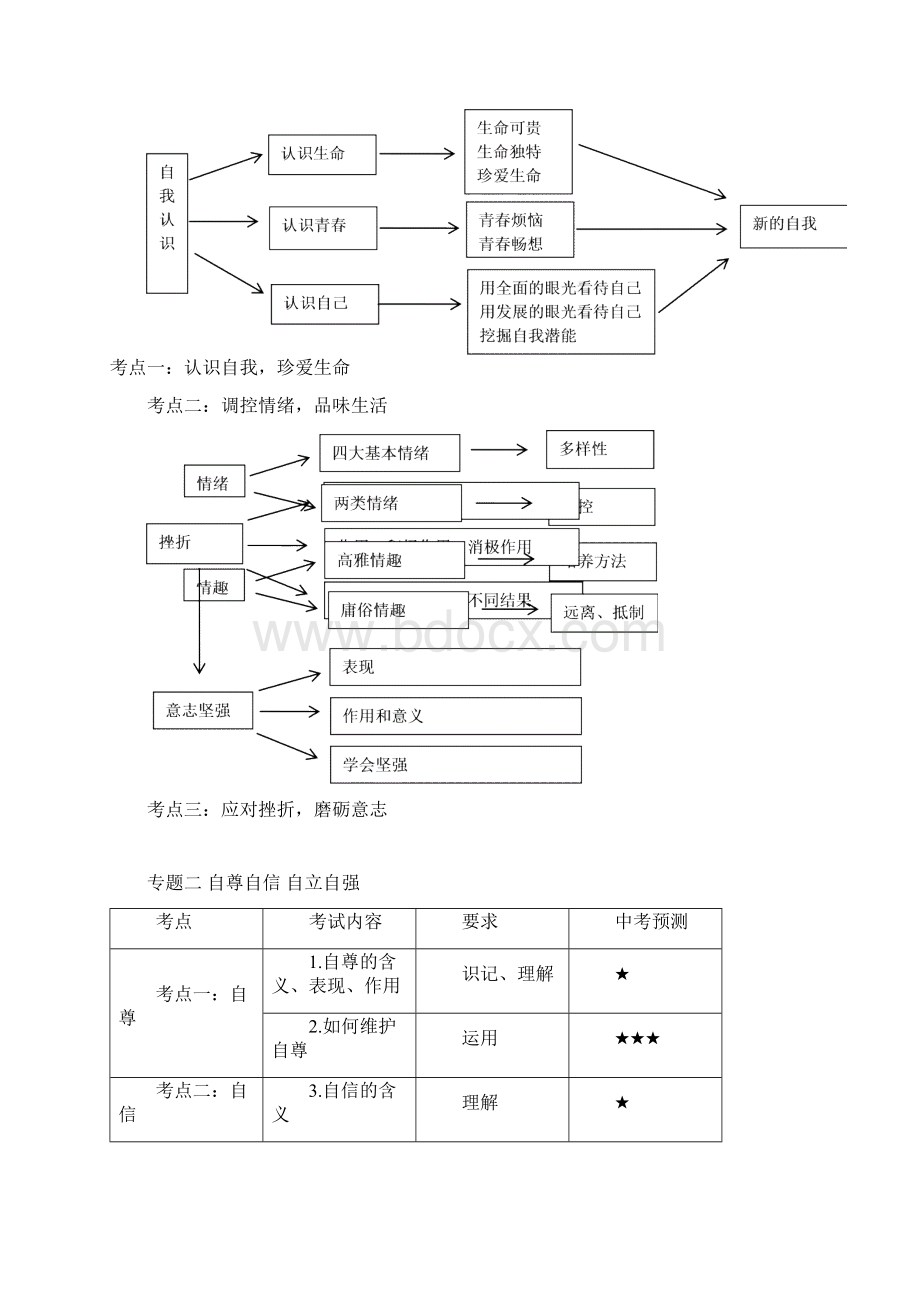 中考思想品德思维导图Word格式文档下载.docx_第2页