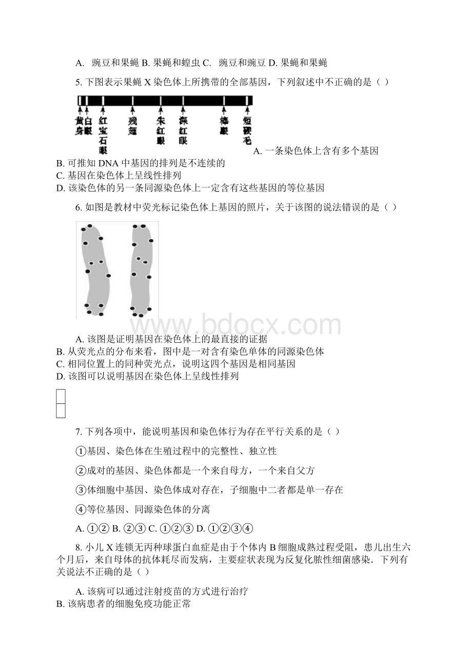 22分层练习《基因在染色体上》人教Word下载.docx_第2页