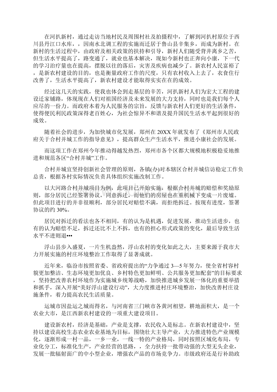 寒假社会实践调研报告范文Word格式文档下载.docx_第3页