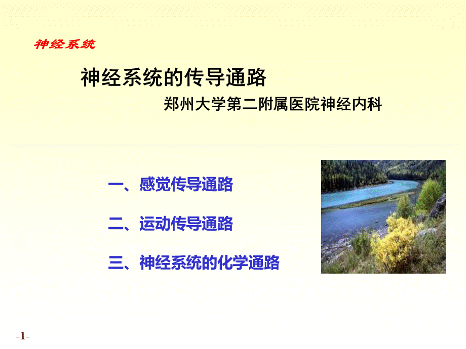 神经系统传导路.ppt