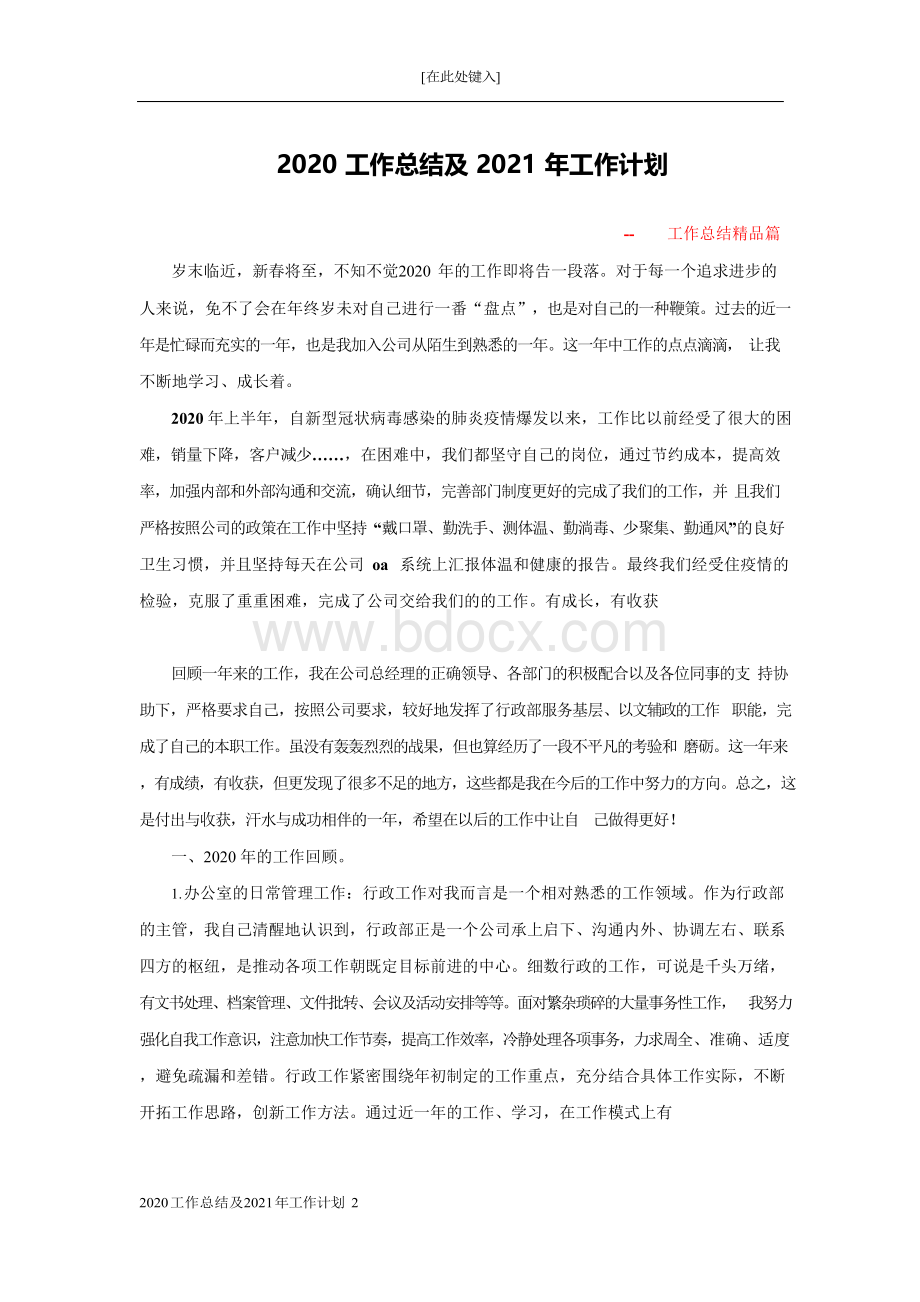 2020工作总结及2021年工作计划Word文档格式.docx