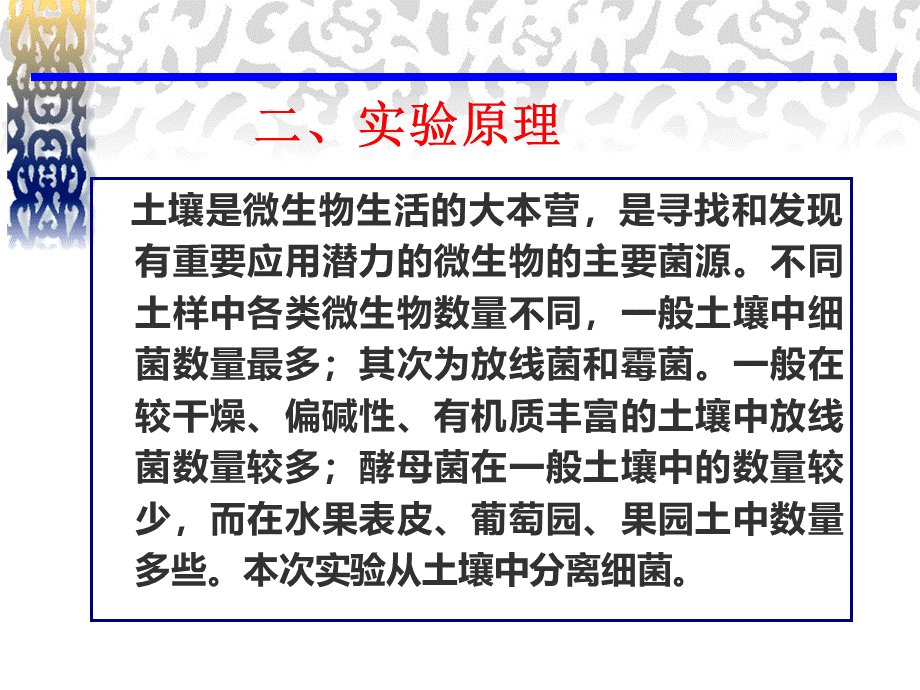 土壤中细菌纯种分离和培养PPT格式课件下载.ppt_第3页