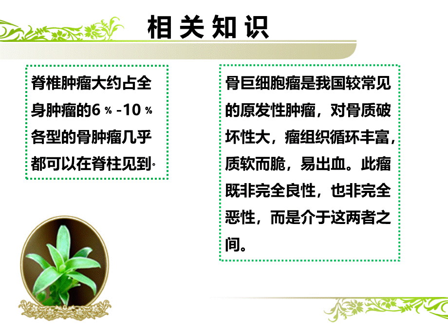 胸椎复发肿瘤切除手术的护理.pptx_第3页