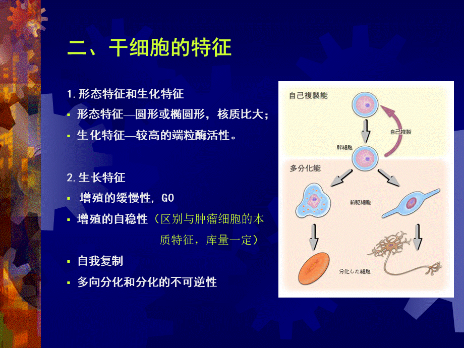 concept-of-stem-cell.ppt_第3页