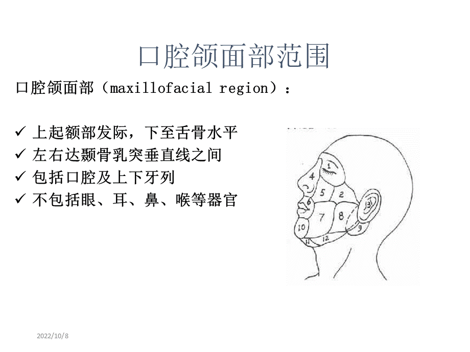 口腔解剖-ppt课件..ppt_第3页