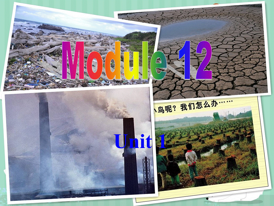 外研版九年级上册(新)Module-12-Unit-1..ppt