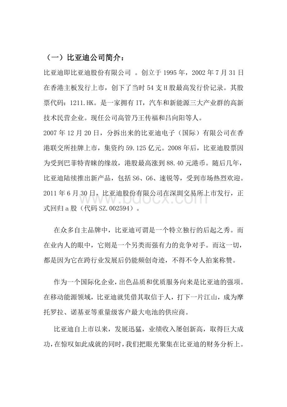 比亚迪上市公司财务分析报告.doc_第2页