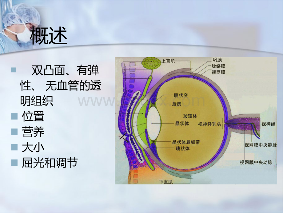 眼科学：晶状体病课件PPT课件下载推荐.pptx_第3页