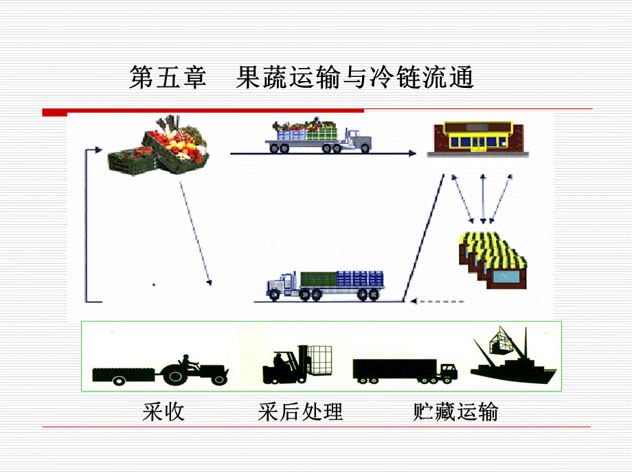 第五章果蔬运输与冷链流通2.ppt