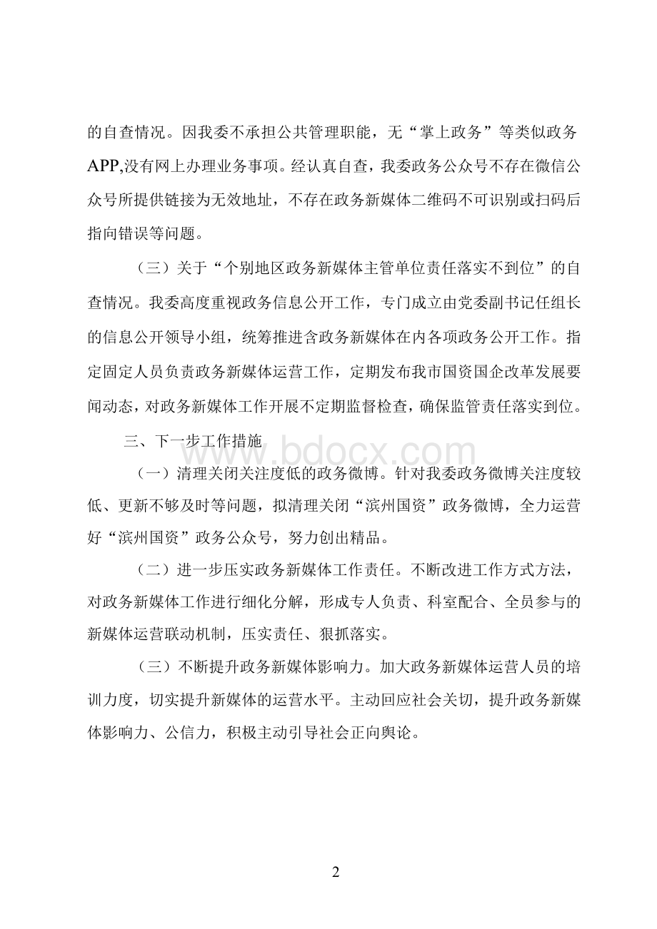 市国资委政务新媒体清理规范专项自查报告文档格式.docx_第2页