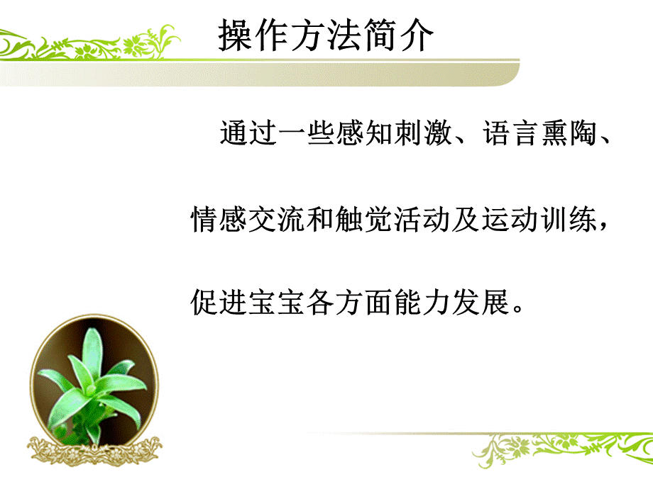 新生儿早教训练PPT文档格式.ppt_第2页